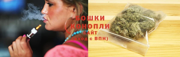 МДПВ Бронницы