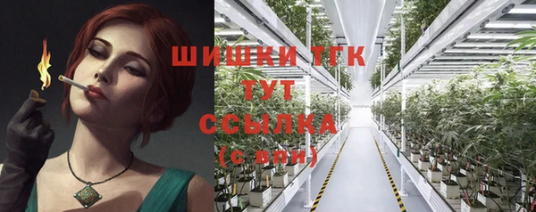 МДПВ Бронницы